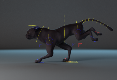 【带绑定与奔跑动作】写实豹子 森林野生猫科哺乳动物 野黑豹  非洲豹