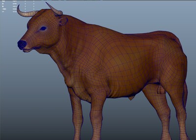 牛 黄牛 _281152516作品_动物哺乳_cg模型网