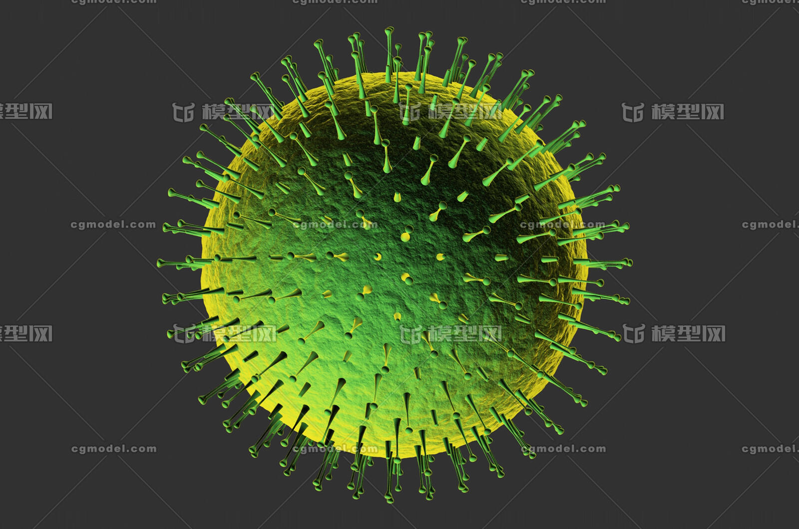 流感病毒模型图片