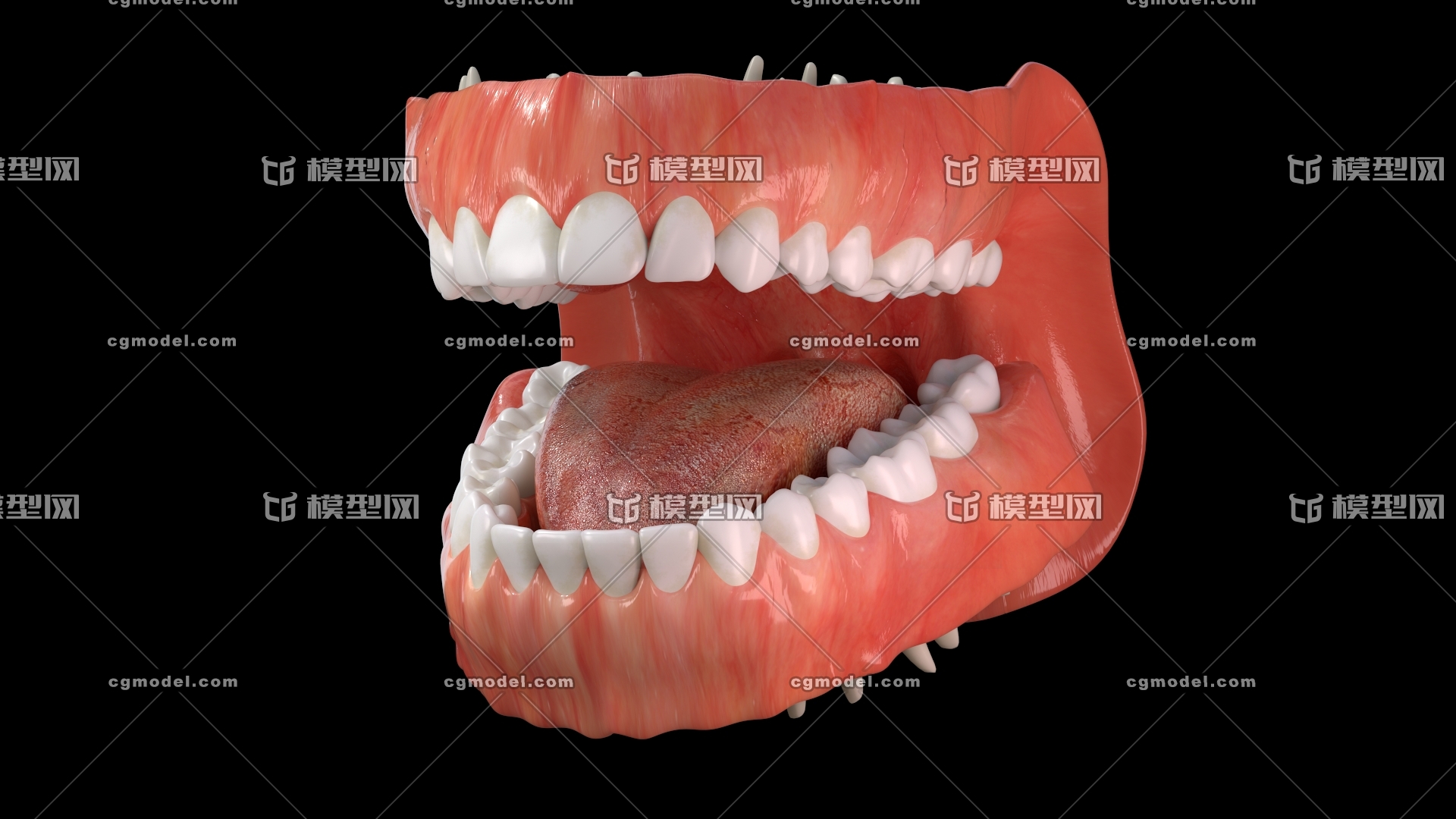 牙槽骨萎缩 填充骨粉骨膜 牙龈翻瓣手术 的亲身经历（一） - 知乎