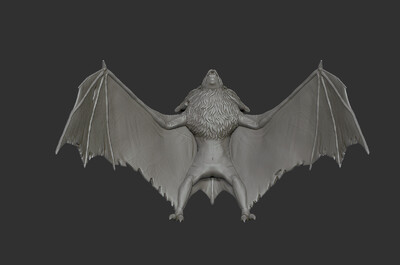 392 蝙蝠 恶魔 吸血鬼 暗夜 魔王 德古拉 恶灵 恐怖 邪恶 3d扫描 3d