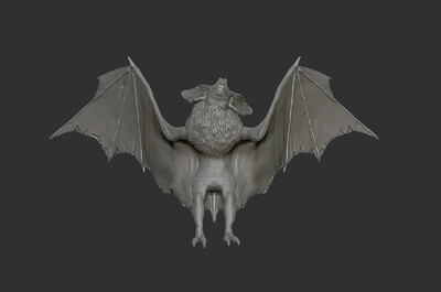 392 蝙蝠 恶魔 吸血鬼 暗夜 魔王 德古拉 恶灵 恐怖 邪恶 3d扫描 3d