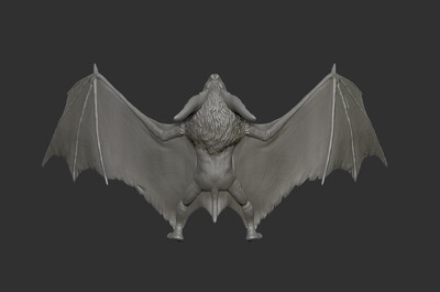 392 蝙蝠 恶魔 吸血鬼 暗夜 魔王 德古拉 恶灵 恐怖 邪恶 3d扫描 3d