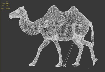 骆驼身体构造图图片