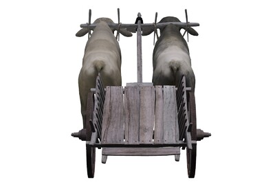 牛车 牛拉车 牛 奶牛公牛耕牛古代牛拉车_维峰台科技作品_车辆畜力车