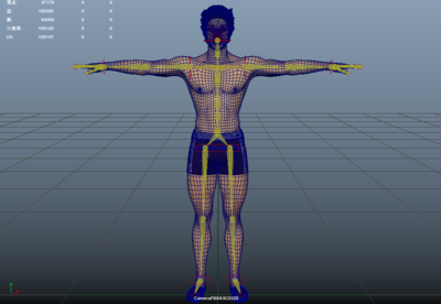 男人体 写实人体模型 基础人体模型 人体模特 短裤 海滩 泳池 夏装