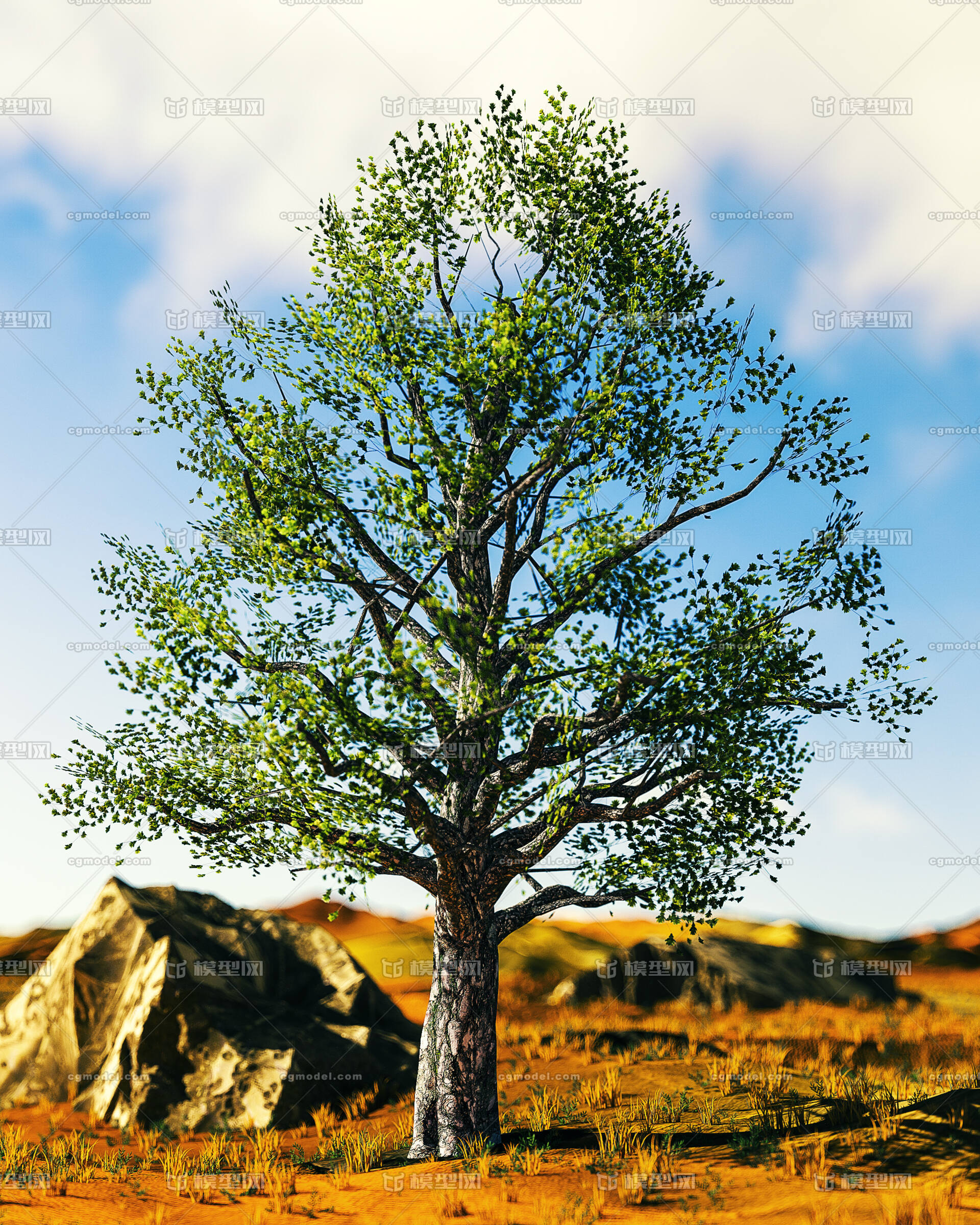 写实场景 c4d 大树场景 沙滩 土地 _董玉方作品_石头植物树木_cg模型