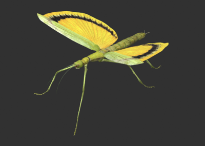 034pbr次世代竹节虫螳螂飞虫虫子昆虫节肢动物拟态次时代arvr