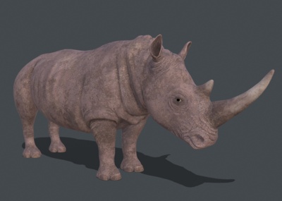 带动画的pbr次时代材质非洲白犀牛3d模_nom001作品_动物哺乳_cg模型网