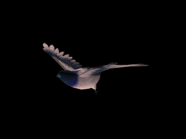 写实鸟绑定动作贴图