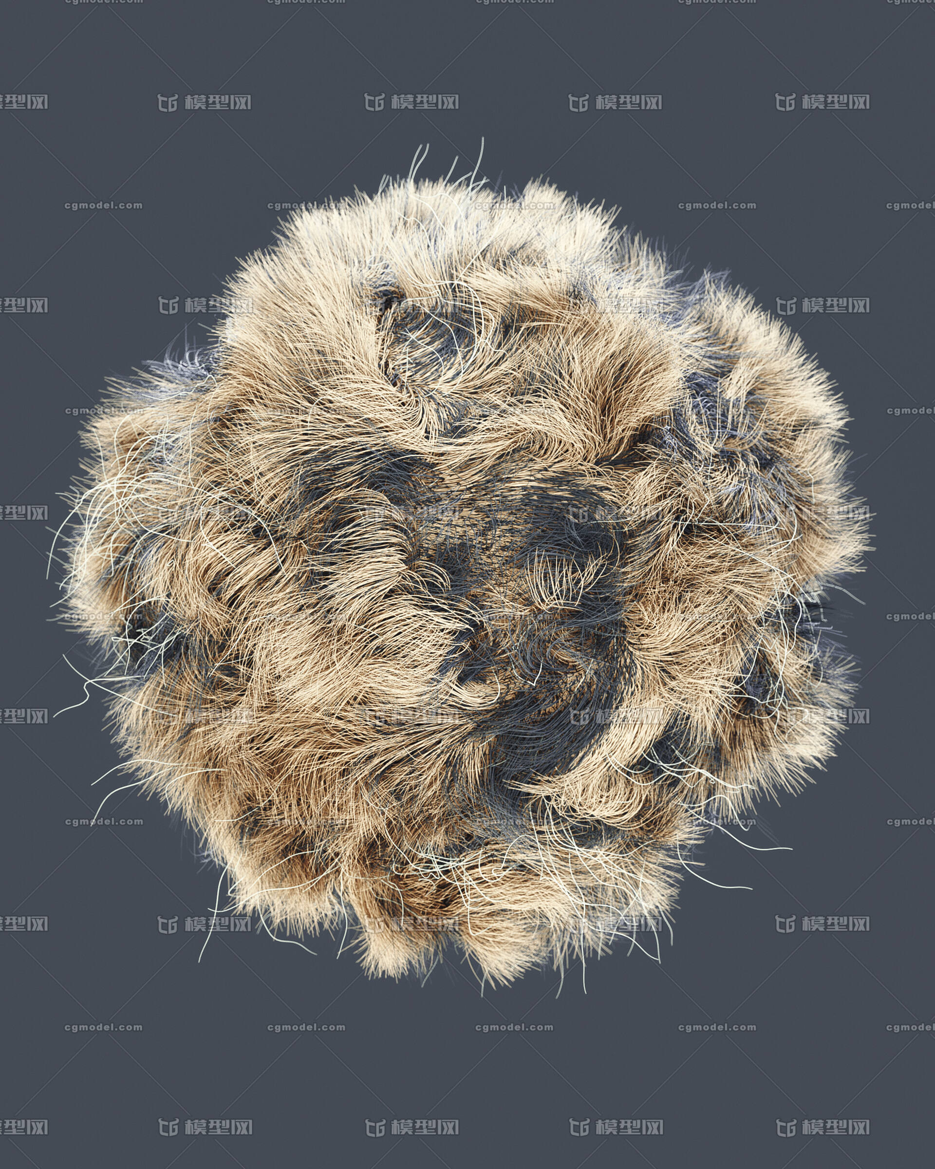 c4d 毛发场景模型