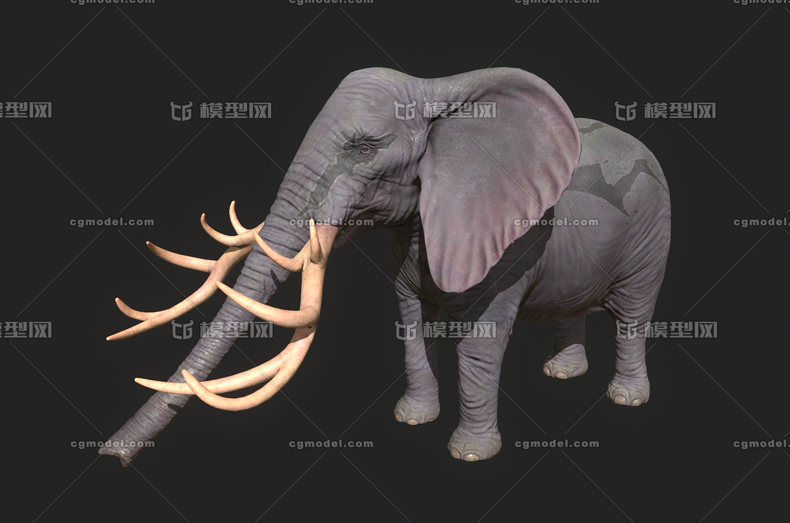 052 pbr次世代 大象 非洲象 亚洲象 猛犸象 恐象 古生物 恐龙 象牙 次