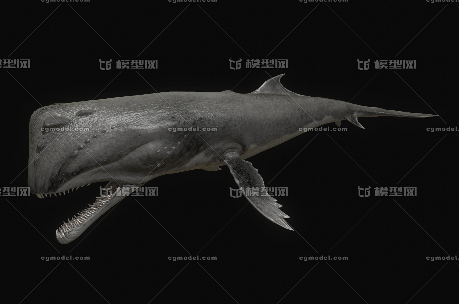 057 pbr次世代 长须鲸 抹香鲸 座头鲸 蓝鲸 鲸鱼 boss 海怪 怪物 怪兽