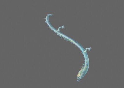 白龙 中国风白龙 神龙_魔道传奇作品_动物神话类_cg模型网