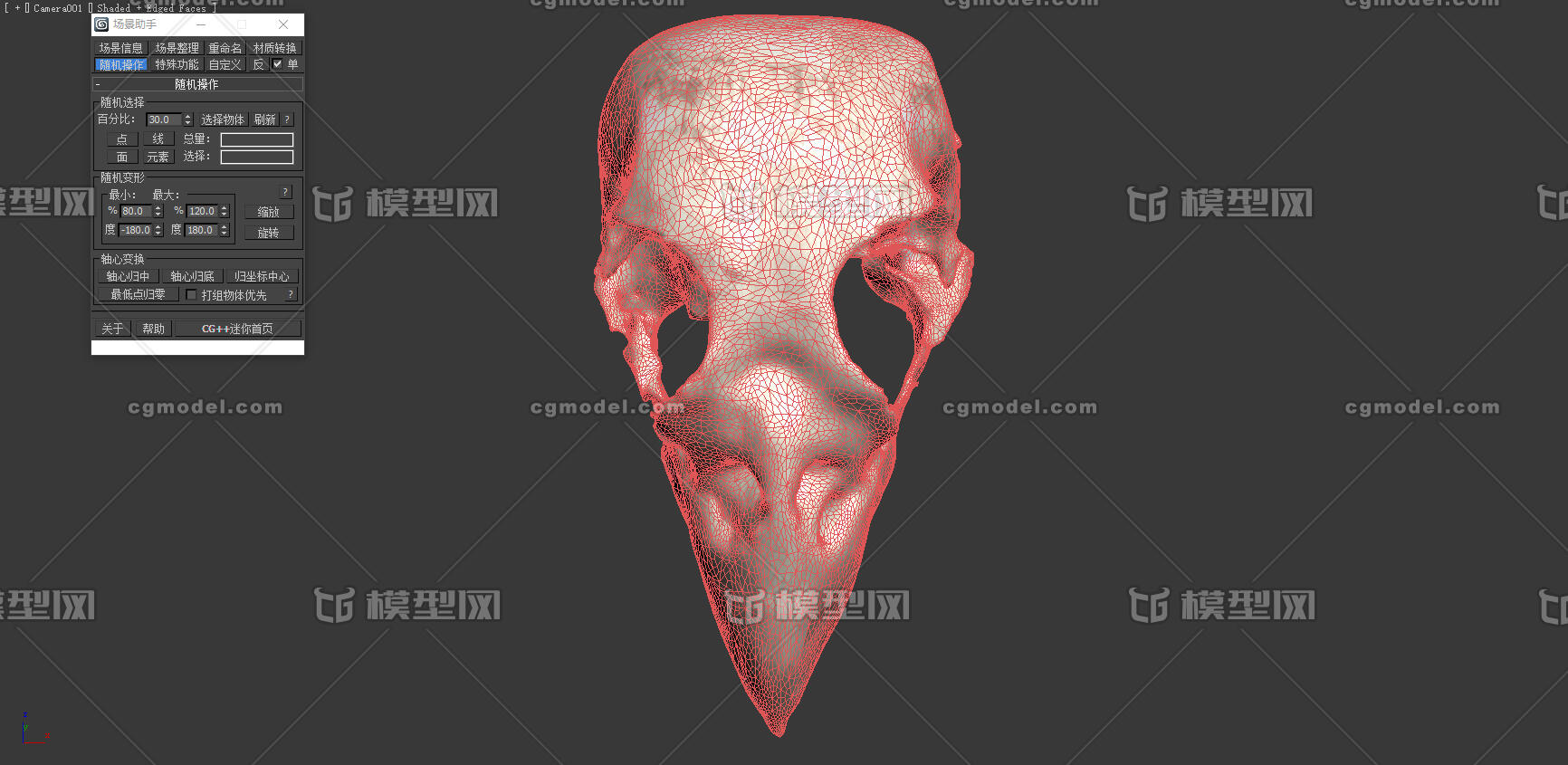 麻雀头骨 鸟类头骨 头骨 骨头 骨骼 动物头骨