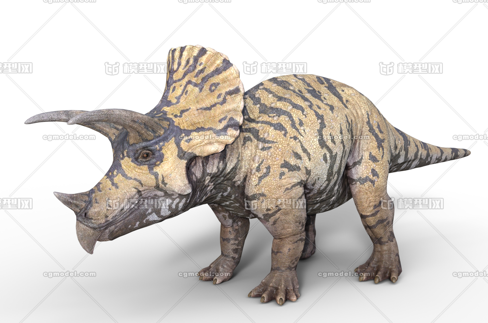 龙 恐龙 三角龙