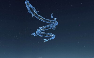 龙出水 中国龙 祥云 动画龙腾飞 中国青龙 神兽 神龙 冰龙 天龙 飞龙