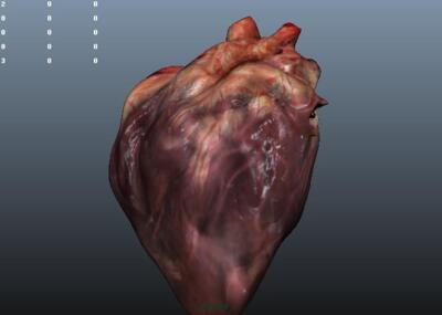 自己的-双晴的收藏夹