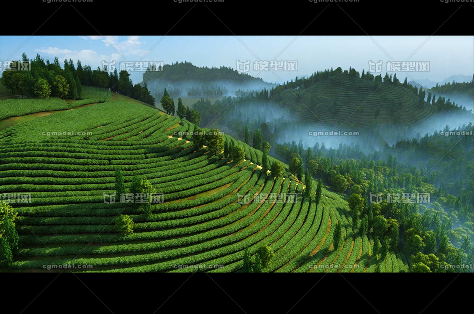 茶山大景鸟瞰