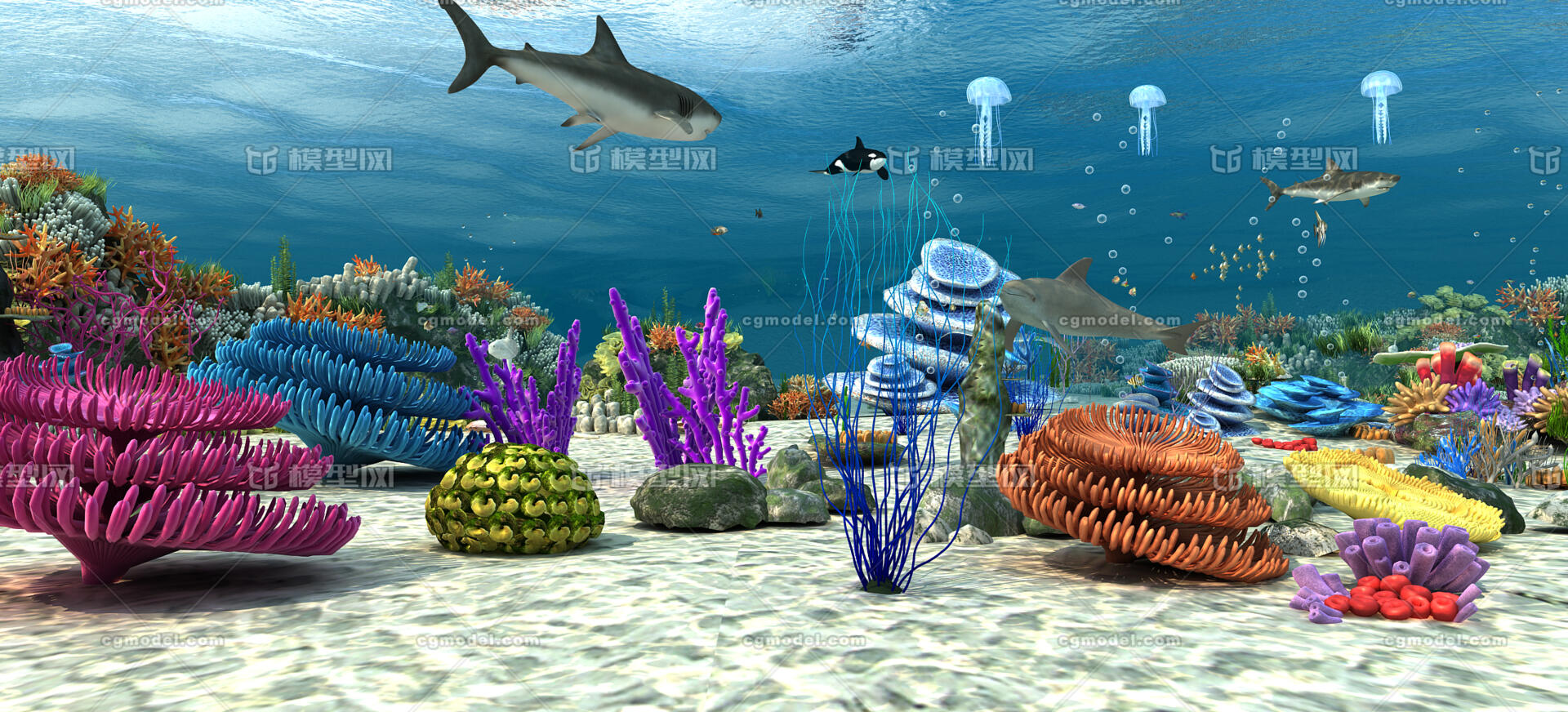 珊瑚礁 海鱼 鱼 海底石头 海底生物 深海场景 海底植物,鱼群,海洋