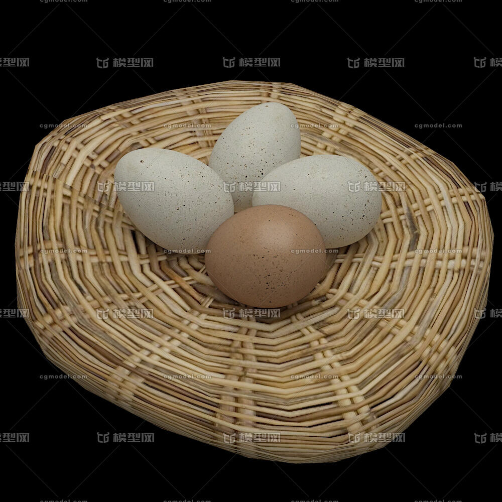 鸡卵的模型图片