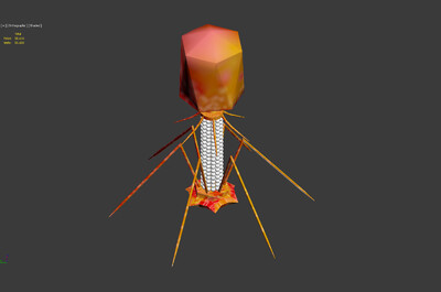 噬菌体 phage bacteriophage 侵袭细菌 vrar模型