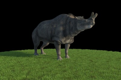 王雷兽跑步 brontotherium 古犀牛 巨角犀 侏罗纪 恐龙 远古巨兽 白垩