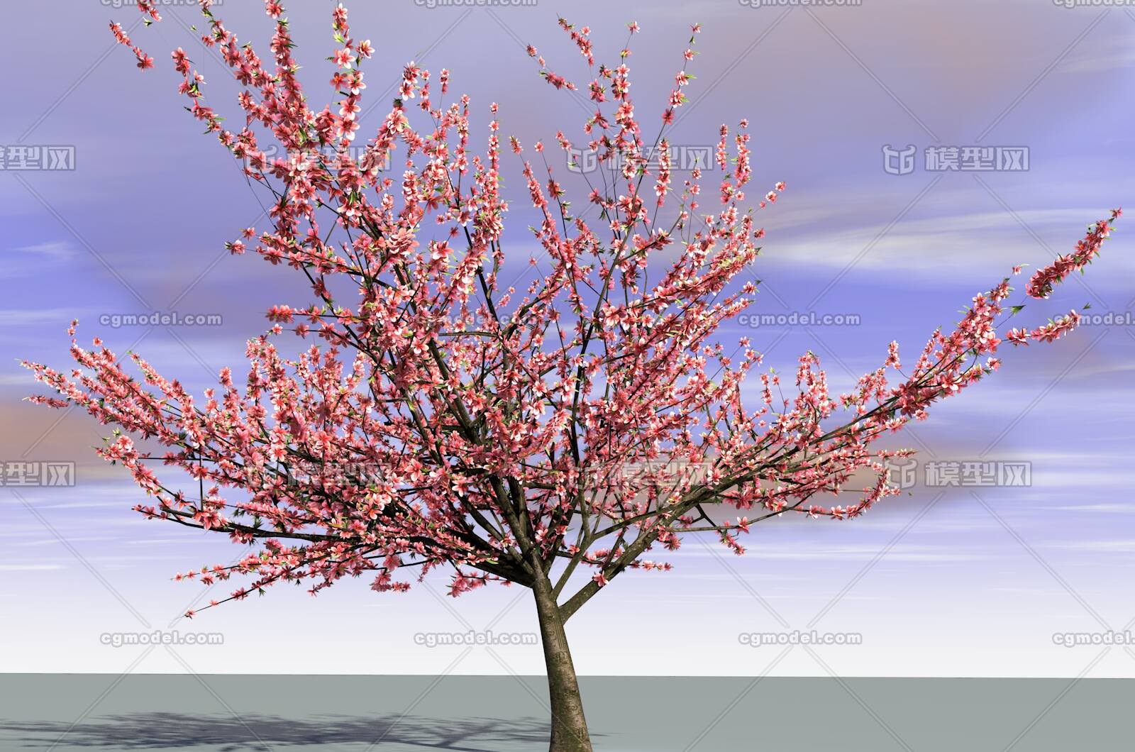 һ һ ӣ һ_aƷ_ʯͷֲľ_cgģ