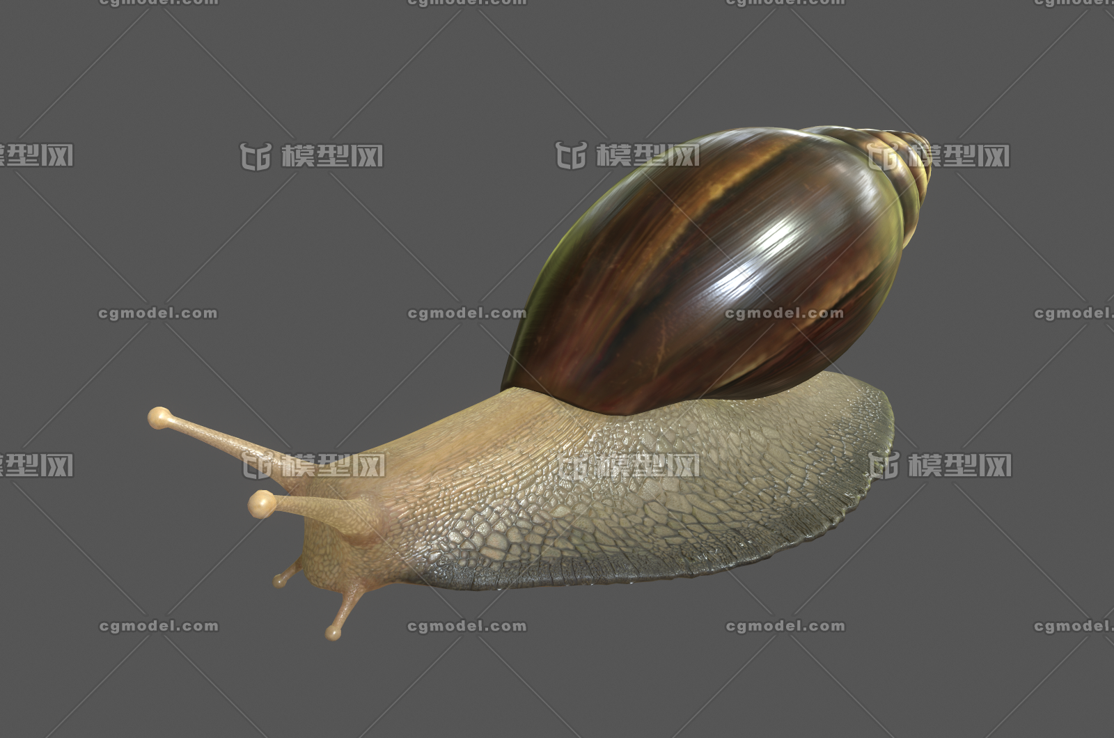 068 pbr次世代 蜗牛 蛞蝓 软体动物 昆虫 次时代 ar vr