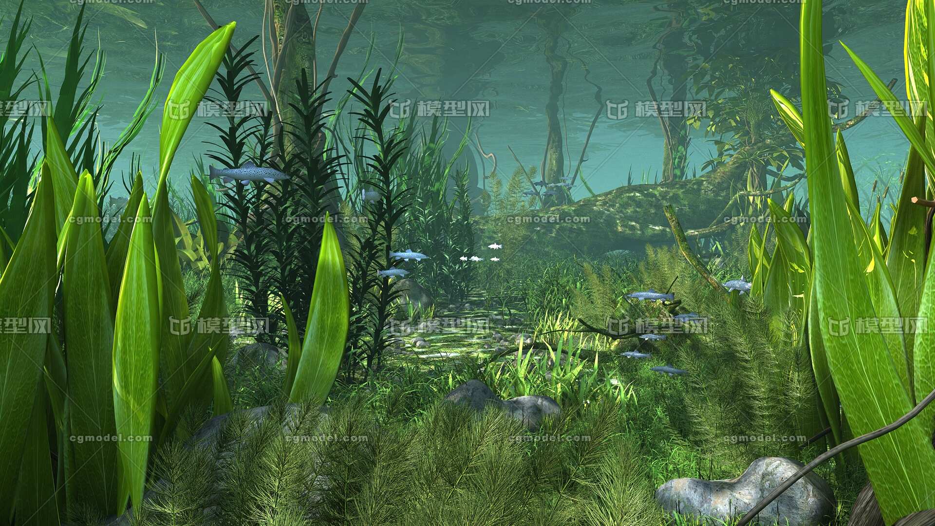水底 湖底模型-自然场景模型库-3ds Max(.max)模型下载-cg模型网