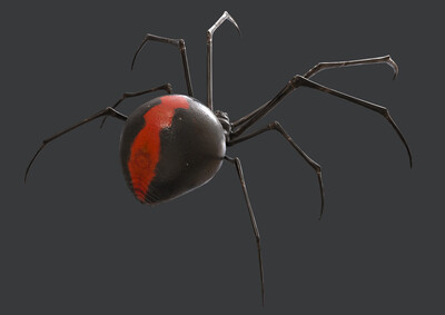 黑客病毒 蜘蛛图片