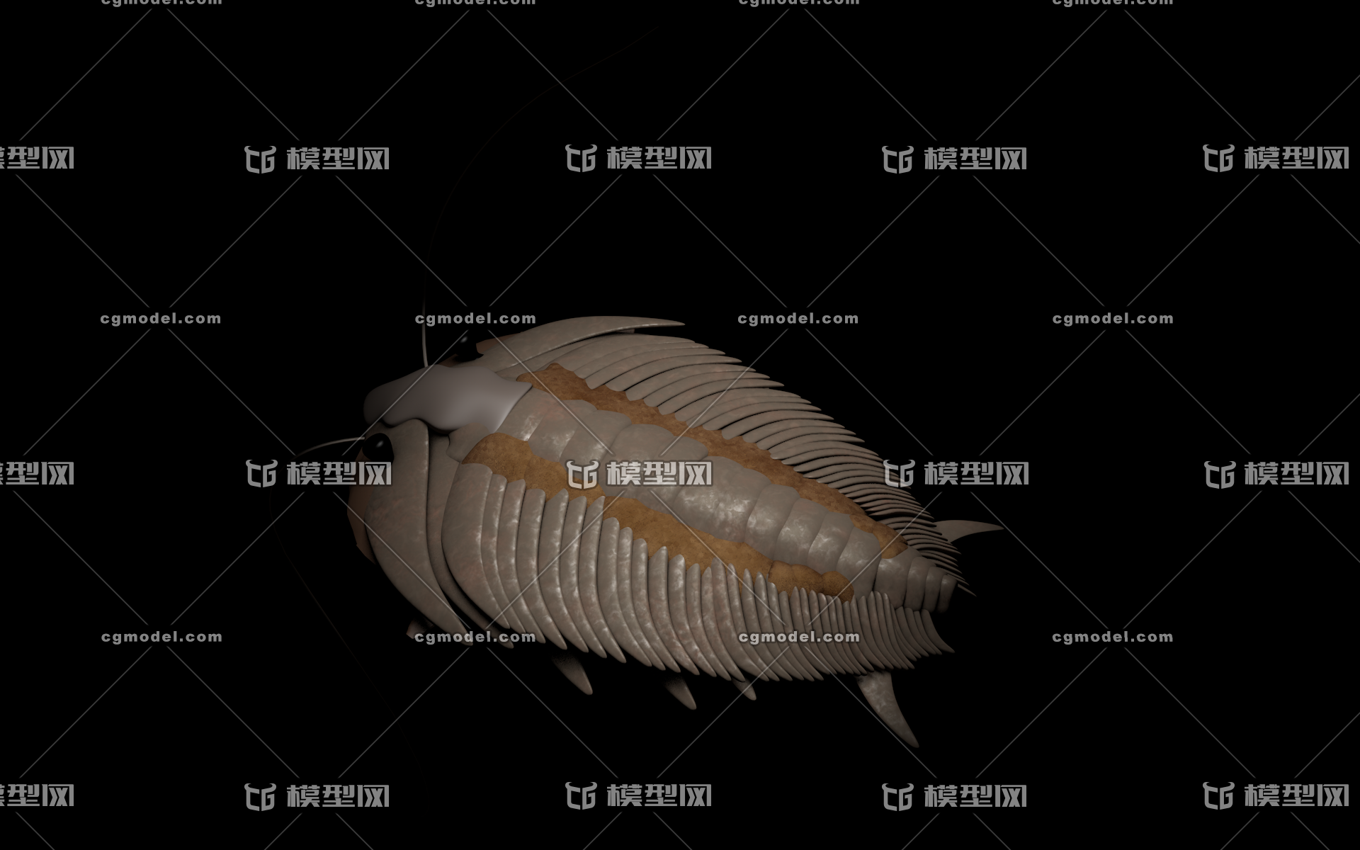 三叶虫远古生物寒武纪足叶动物怪诞虫奇虾古代 海洋动物生命大爆发节肢腕足蠕形脊索 Cg模型网 Cgmodel 三维设计师交流互动平台 专注多品类3d模型下载 原创作品分享 软件学习