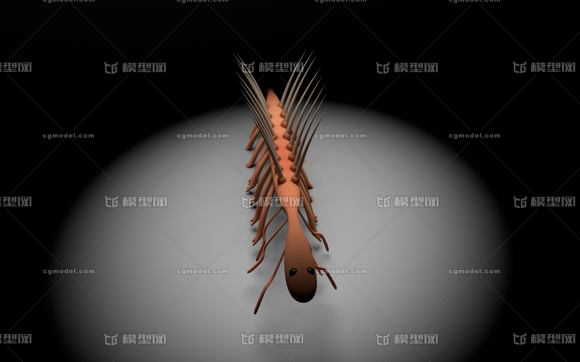 怪诞虫远古生物寒武纪足叶动物三叶虫奇虾古代 海洋动物生命大爆发节肢腕足蠕形脊索 Cg模型网 Cgmodel 三维设计师交流互动平台 专注多品类3d模型下载 原创作品分享 软件学习