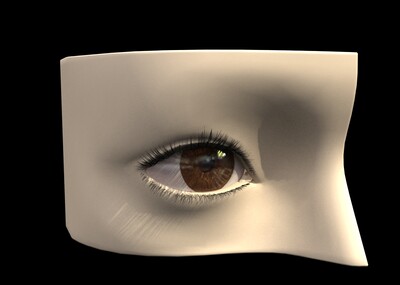 眼睛,眼球,模型_361626566作品_人物人体器官_cg模型网