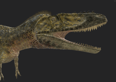 分支龙模型(含贴图)