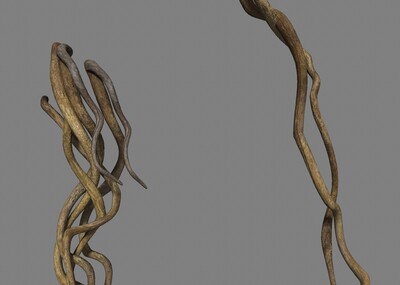 藤蔓 缠绕交错的藤条 树根