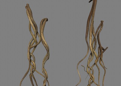 藤蔓 缠绕交错的藤条 树根