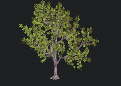 游戏低模树 游戏植物 大树 树模型,次时代树,树,黄色树叶红树,游戏树