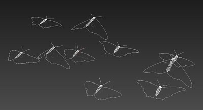 娥蝴蝶 蝴蝶资源库 蝴蝶飞舞 一群蝴蝶 花蝴蝶 五颜六色蝴蝶 各种花