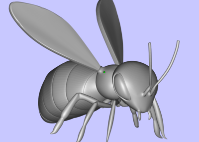 高精蜜蜂模型