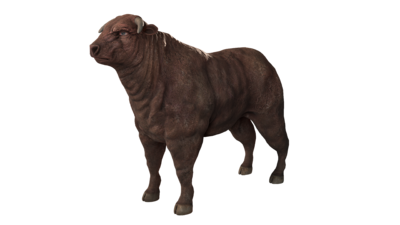 变异的牛 写实贴图