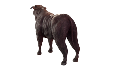 变异的牛 写实贴图