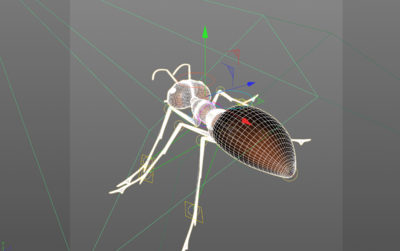 蚂蚁3d模型动作