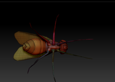 苍蝇3d图下载,苍蝇3d模型图下载,昆虫苍蝇3d图下载,苍蝇结构模型图