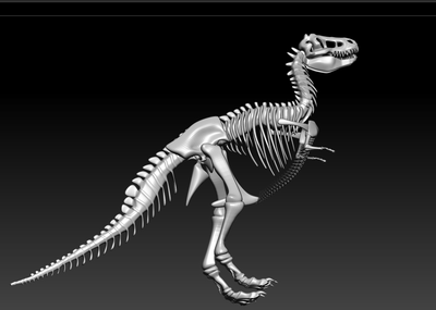 霸王龙骨架3d图下载,恐龙骨骼3d图下载,恐古化石骨头3d图下载,恐龙
