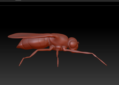 苍蝇3d图下载,苍蝇3d模型图下载,昆虫苍蝇3d图下载,苍蝇结构模型图