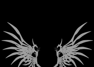 金属翅膀 翅膀 钢铁之翼