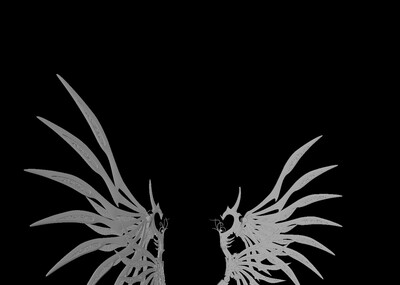 金属翅膀 翅膀 钢铁之翼