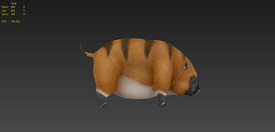 传奇 奇迹 野猪 斑纹猪 虎皮猪 怪物