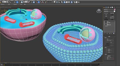 细胞 磷脂双分子层_九块腹肌谢先生作品_场景自然场景_cg模型网